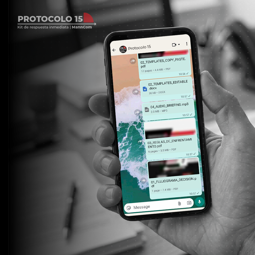 Contenido del Protocolo 15